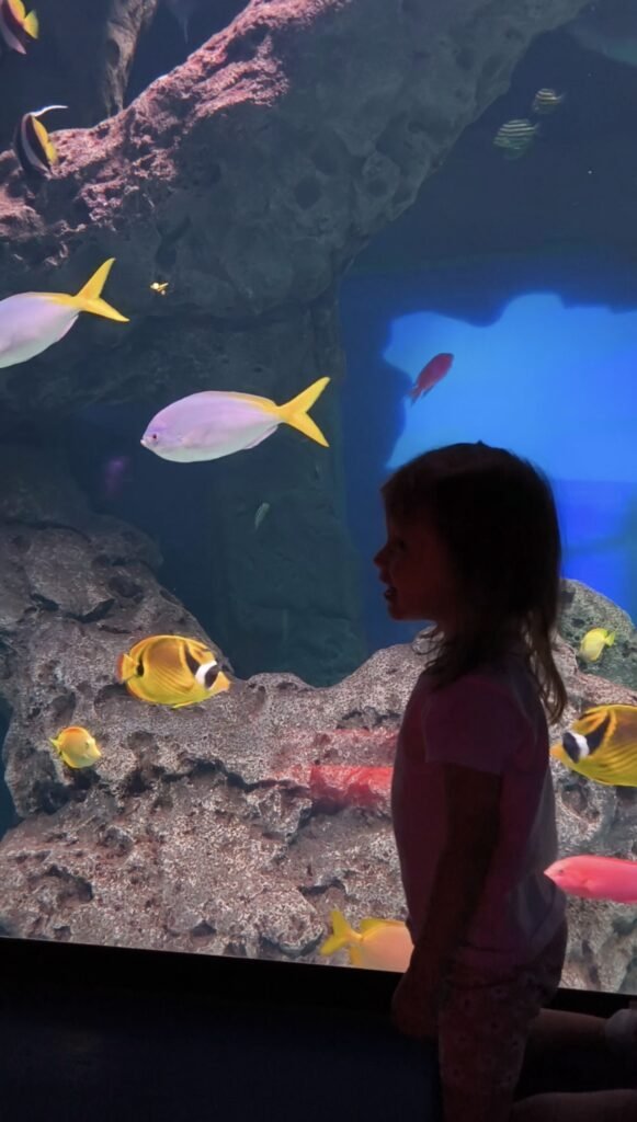 Leilah in the Atlanta aquarium with fishes