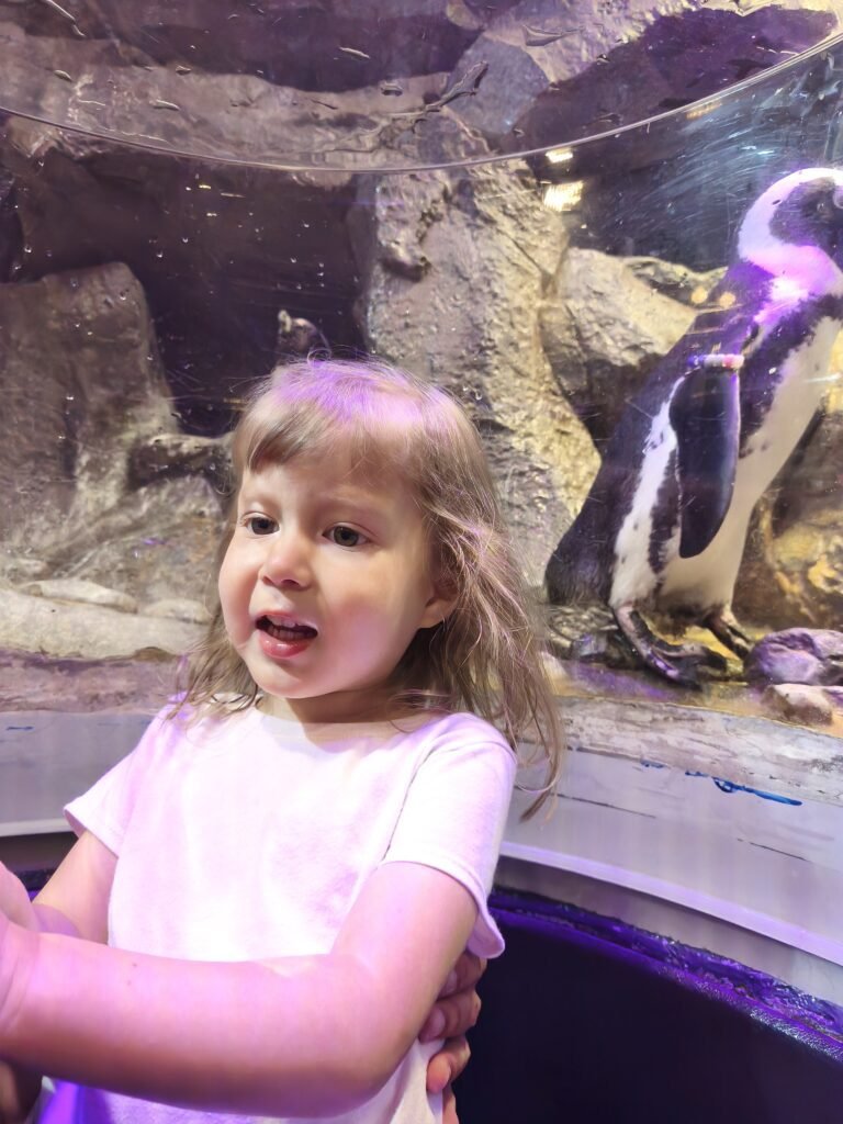 aquarium atlanta, leilah with a penguin behind