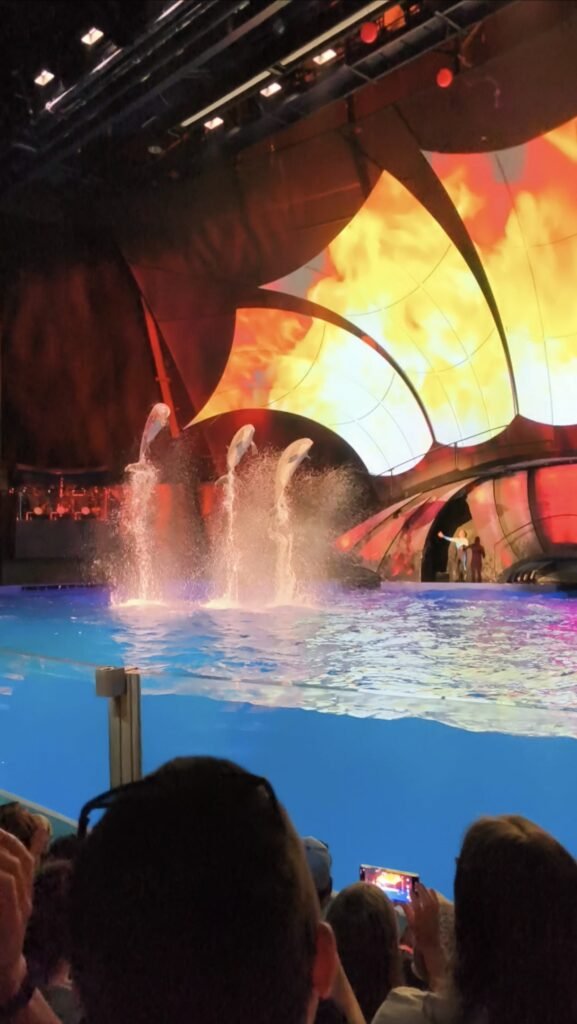Dolphins show at the Atlanta Aquarium