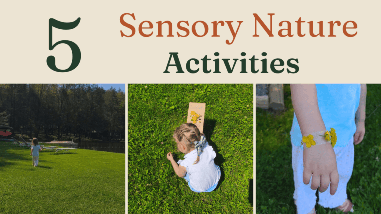 sensory nature activities