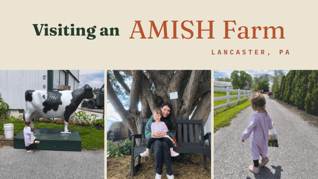 visiting an amish farm with a toddler