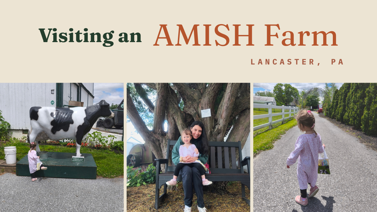 What I Learned Taking My Toddler to an Amish Farm in Lancaster, PA (A Slow Travel Journal)