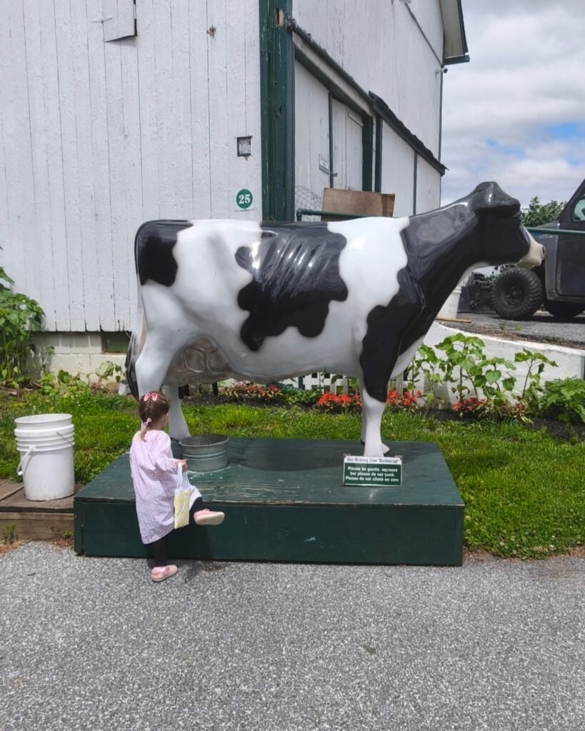 amish farm tih toddler