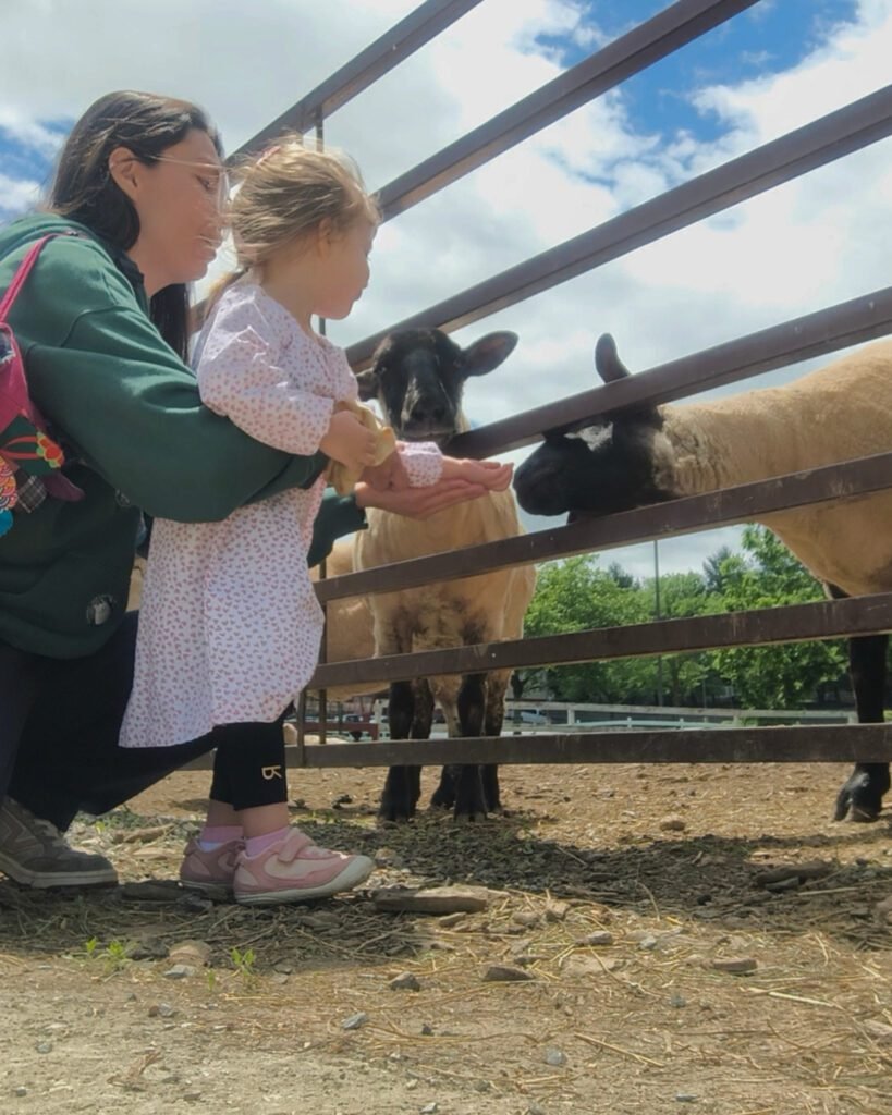 amish farm toddler travel