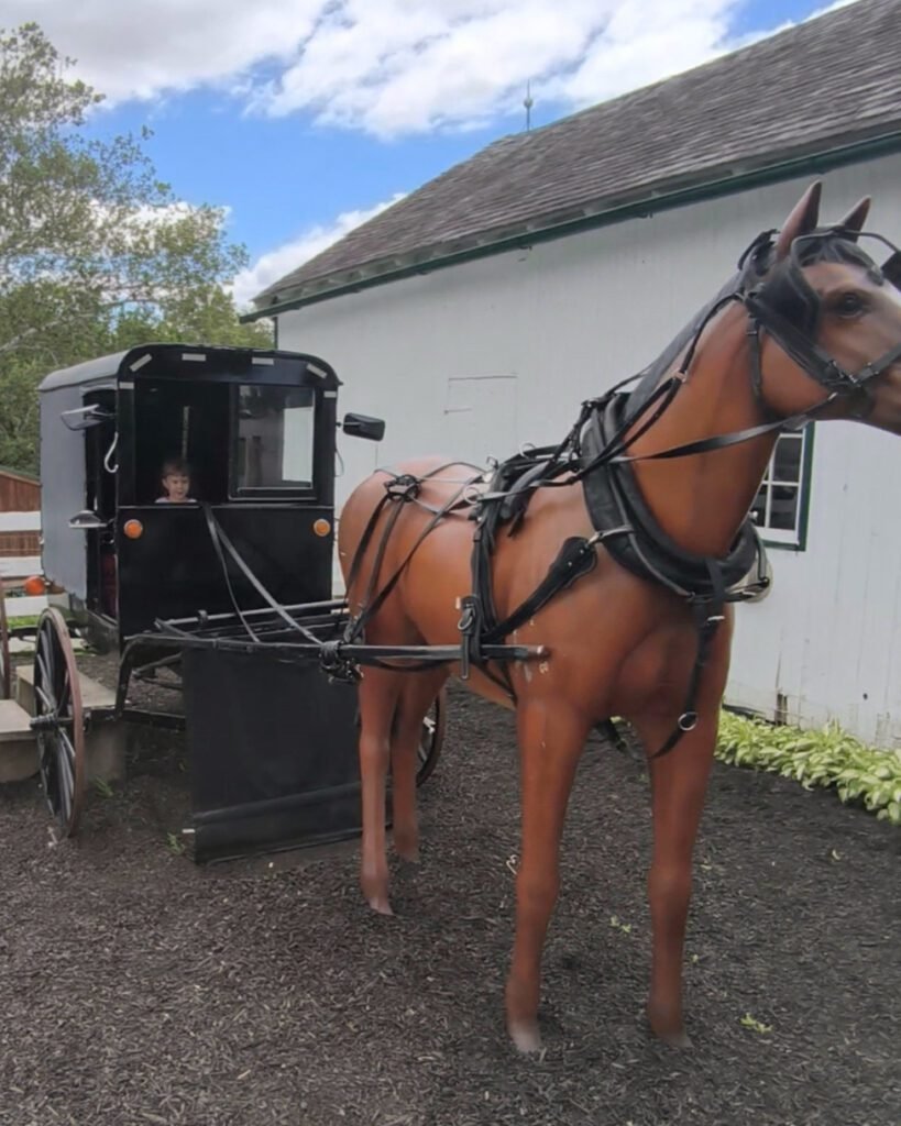 amish farm visit with toddlers