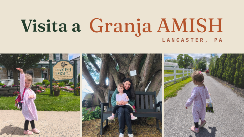 visita a granja amish con niños lancaster pensilvania