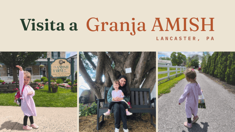 visita a granja amish con niños lancaster pensilvania