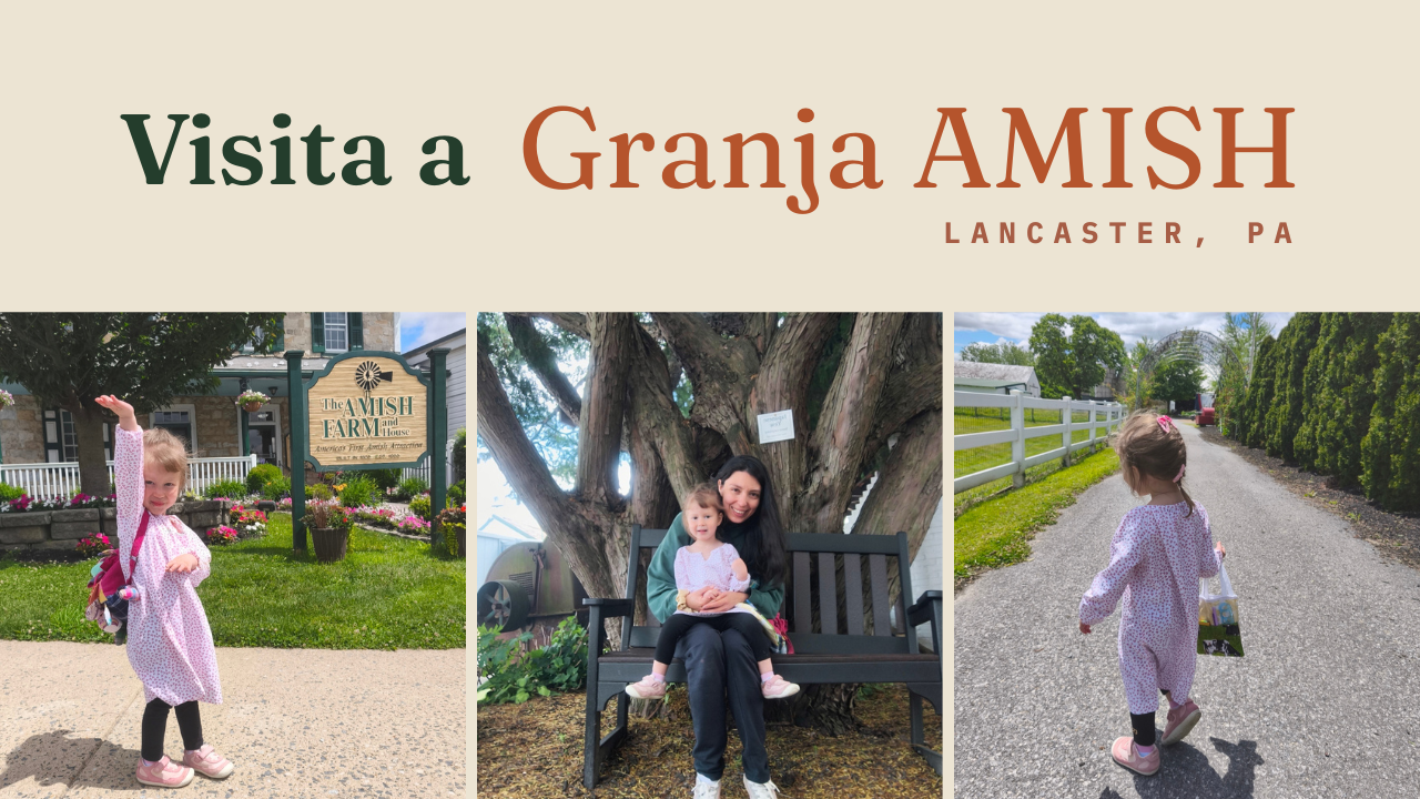 Lo que aprendí llevando a mi toddler a una granja Amish en Lancaster, PA (Un diario de viaje slow)