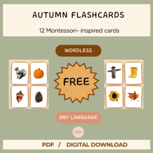 autumn flashcards printable montessori