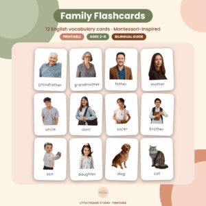 family flashcards en1